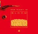CD - Streamer, Vimana, Big Boss Man - One Night In Bloom - Volume One - Digipak