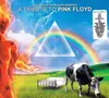 Double CD - Various - A Collection Of Delicate Diamonds: A Tribute To Pink Floyd