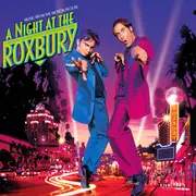 CD - Haddayway, Cyndi Lauper, Faithless et al. - A Night At The Roxbury (Music From The Motion Picture)