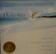 Voices Of Light;Beau Williams;Vickie Winans;a.o - A Perfect Peace