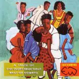 Mahlathini And The Mahotella Queens / West Nkosi a.o. - A Taste Of The Indestructible Beat Of Soweto