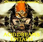 The Rogues - Acid Dreams Epitaph (69 Minutes Of Green Fuz)