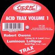 Various - Acid Trax Volume 1