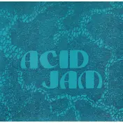 The Bevis Frond - Acid Jam