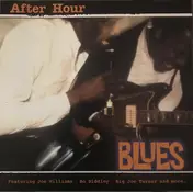 Big Joe Williams - After Hour Blues