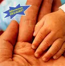 CD - Sebadoh, Come, Unrest a.o. - Afternoon Delight!