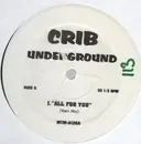 12inch Vinyl Single - Hip Hop Sampler - All For You / Everything