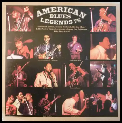 Homesick James, Tommy Tucker, a.o. - American Blues Legends 75