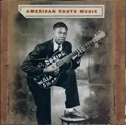 Bob Dylan, Muddy Waters, Robert Johnson - American Roots Music