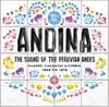 Double LP & MP3 - Various - Andina:Huayno,Carnaval,Cumbia (1968-1978)