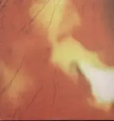 Various Arists - Granutal