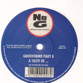 Techno Sampler - Groovebird Part 2- A Taste Of