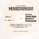 12'' - Various Artists - From The Album Pandemonium