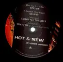 12'' - Various Artists - Hot & New 01-2006 - PROMO