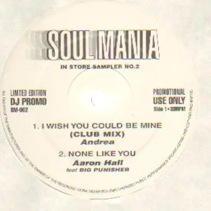 Aaron Hall, Andrea, a.o - Soul Mania - In Store Sampler No. 2