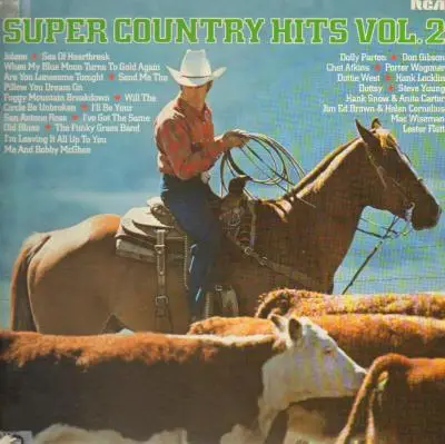 Dolly Parton, Don Gibson a.o. - Super Country Hits Vol. 2