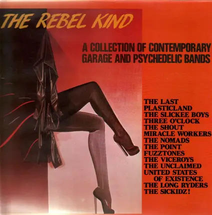 United States Of Existence, Long Ryders, Nomads - The Rebel Kind