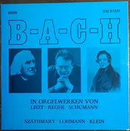 Liszt, Reger, Schumann - Orgelwerken Von Liszt, Reger, Schumann