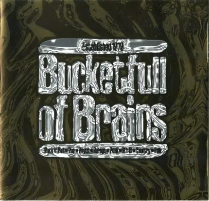 Dan Penn, Jim Dickinson a.o. - Bucketfull Of Brains 50th Anniversary CD