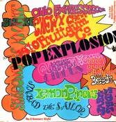 Shadows of Knight - Buddah´s Pop Explosion