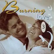 Alvin Stardust, Tracey Ullman, The Korgis, a.o. - Burning Love - 3