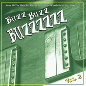Cords - Buzz Buzz Buzzzzzz Vol. 2