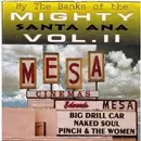 7inch Vinyl Single - Various - By The Banks Of The Mighty Santa Ana Vol. II