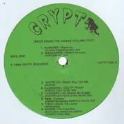 LP - 60's Garage Punk Compilation - Back From The Grave Vol. 5