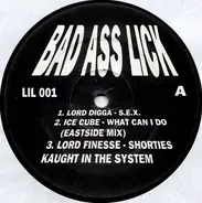 Lord Digga, Ice Cube, Lord Finesse, Saafir, A Tribe Called Quest - Bad Ass Lick