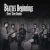 CD - VARIOUS - BEATLES BEGINNINGS - SILVER BEATLES