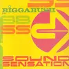 Double LP - Bigga Bush - Sound Sensation - Gatefold