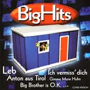CD - Zweite Alternative / Alex - BigHits - Hits Aus Dem Container