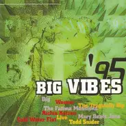 Various - Big Vibes '95