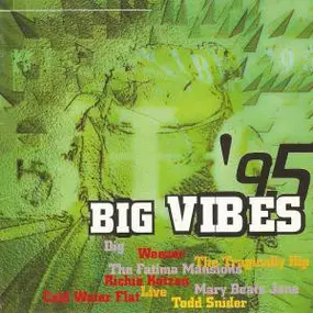 The Tragically Hip - Big Vibes '95