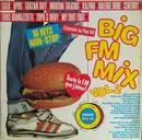 LP - Opus / Gold / a.o. - Big FM Mix Volume 2