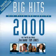 Loona / Stefan Raab a.o. - Big Hits 2000