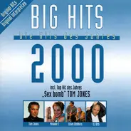 Loona / Stefan Raab a.o. - Big Hits 2000