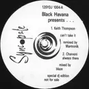 12inch Vinyl Single - Various - Black Havana Presents...