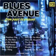 B.B. King, Chuck Berry, Bo Diddley & others - Blues Avenue ...From Past To Present
