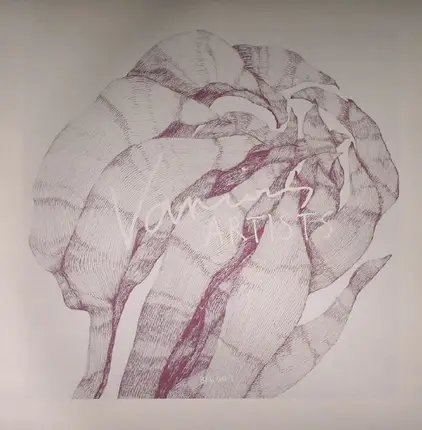 Hubert Daviz, Cuthead, Delfonic a.o. - Box Aus Holz 001 Lost Tracks