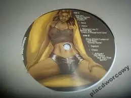 Pharrell Williams, Patrice Rushen, Beyoncé, Jay-Z, Jay-Z, Ludacris, Aaliyah - Breezy Blends Vol. 1