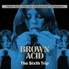 CD - Zendik / Enoch Smoky a.o. - Brown Acid: The Sixth Trip - Digipak