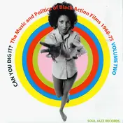 Funk Compilation - Can You Dig It? The Music And Politics Of Black Action Films 1968-75 Volume Two