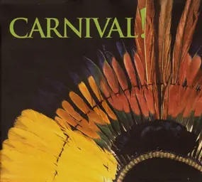 Sting - Carnival! - The Rainforest Foundation