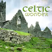 Niamh Parsons / Déanta / Reeltime a.o. - Celtic Wonder