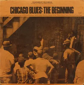 Muddy Waters - Chicago Blues: The Beginning