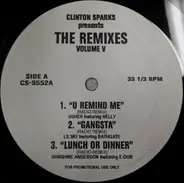 Hip Hop Sampler - Clinton Sparks Presents The Remixes Volume V