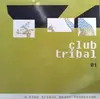 CD - Various - Club Tribal