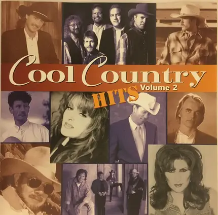 Lyle Lovett, Junior Brown, Tim McGraw a.o - Cool Country Hits Volume 2
