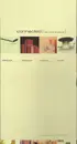 CD-Box - Millenia Nova / Conzooma a.o. - Connected - Vibes From The 3rd Millenium